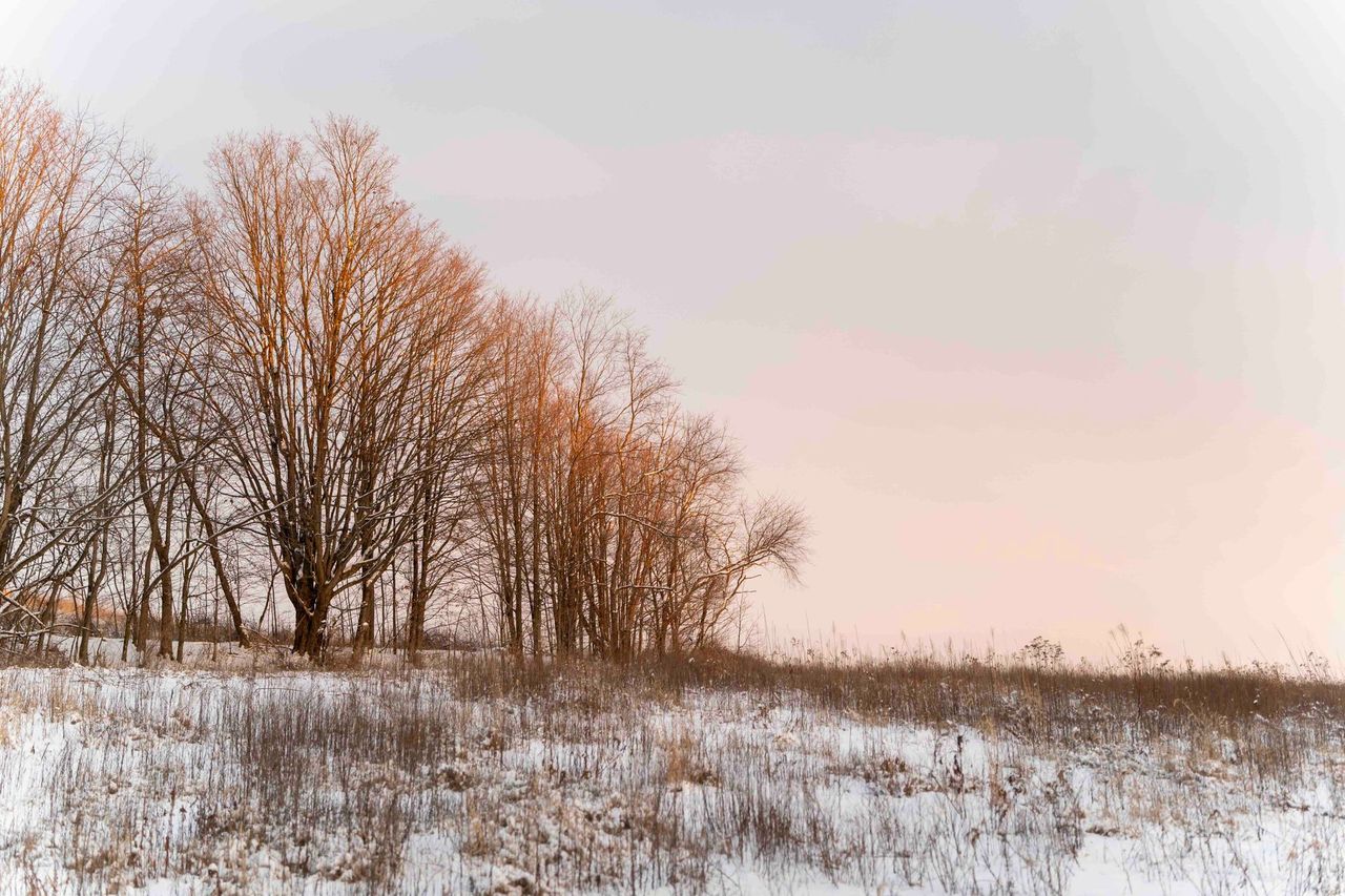 Dramatic rural landscape at sunset with golden light across fields