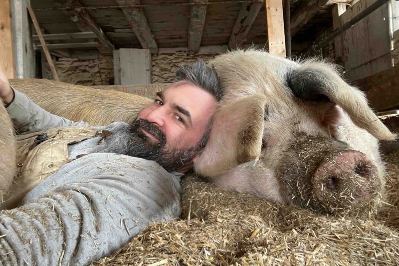 Lush green pasture with morning dew and soft sunlight