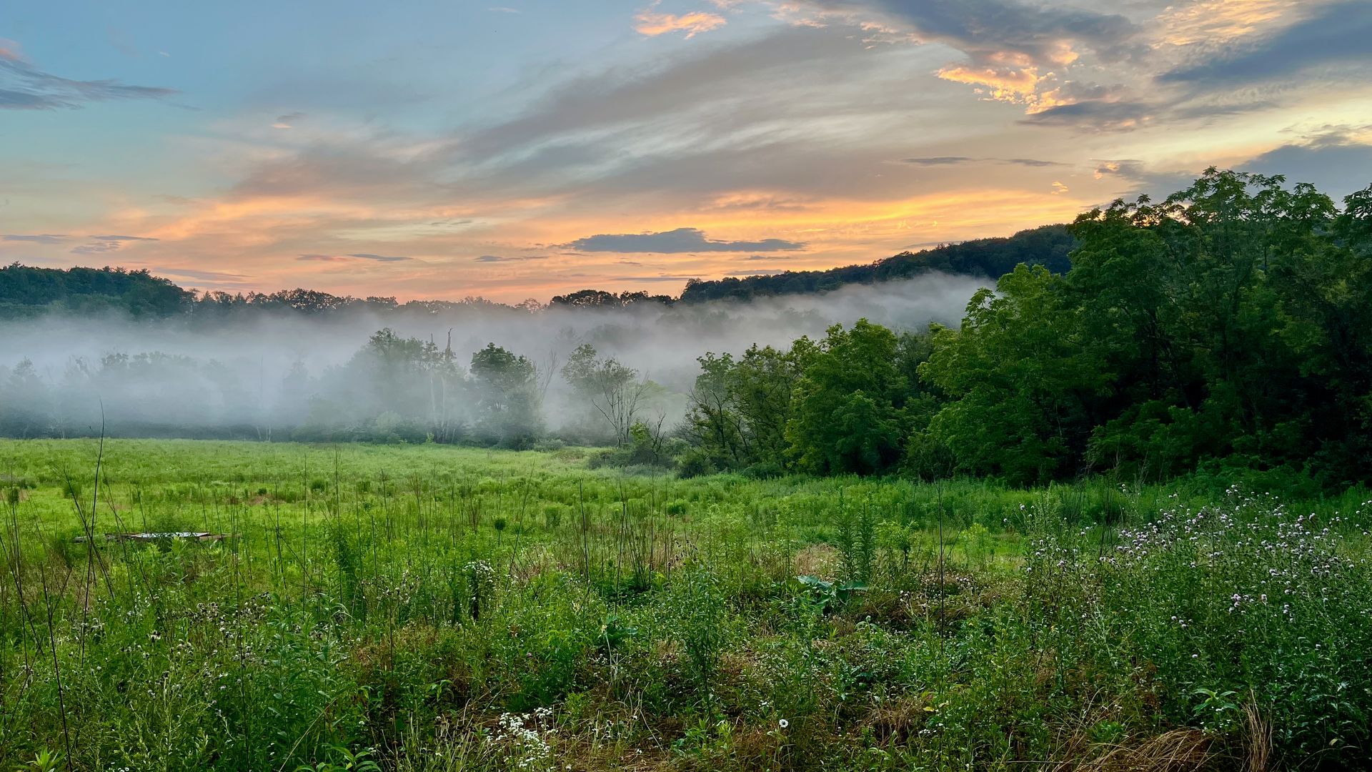 Rolling green farm fields at golden hour with a warm sunset sky